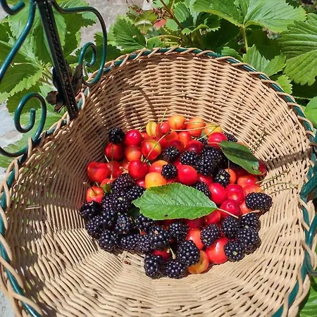 Il Canto Degli Uccelli Gospodarstwo agroturystyczne