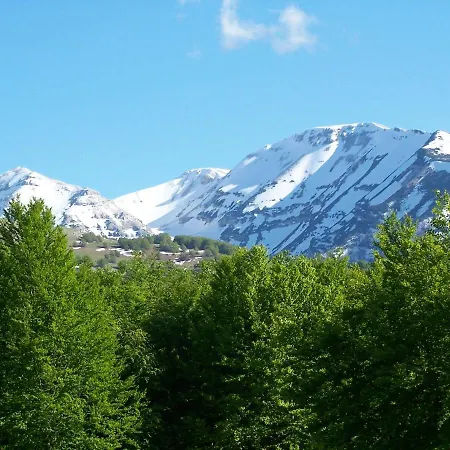 Il Canto Degli Uccelli
