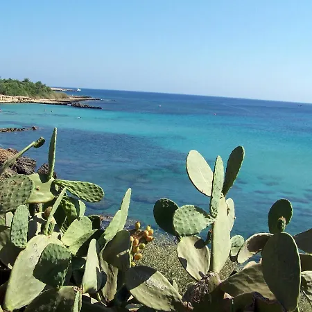 Il Canto Degli Uccelli Roccamorice