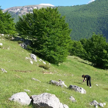Il Canto Degli Uccelli Roccamorice