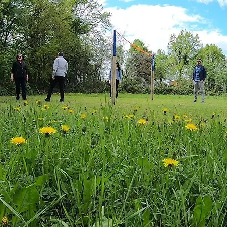 Il Canto Degli Uccelli *