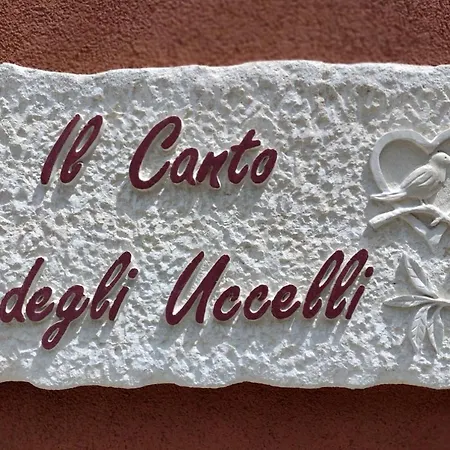 Il Canto Degli Uccelli