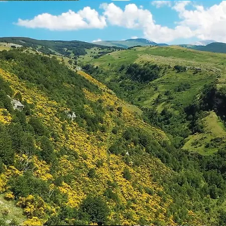 Il Canto Degli Uccelli * Roccamorice