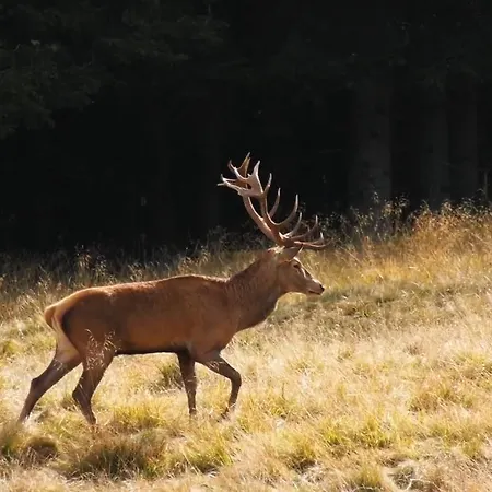 Il Canto Degli Uccelli Gospodarstwo agroturystyczne Roccamorice
