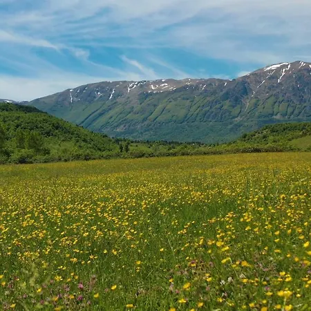 Il Canto Degli Uccelli Lantgård