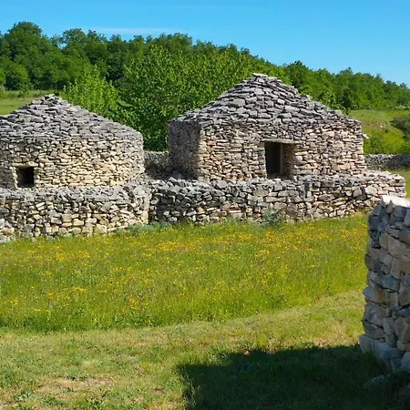 Il Canto Degli Uccelli *