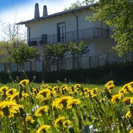 Il Canto Degli Uccelli *