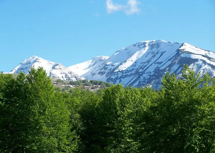 Il Canto Degli Uccelli