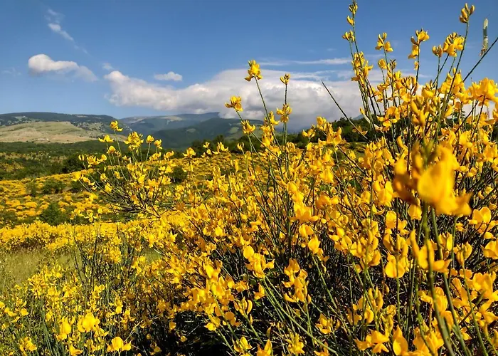 Il Canto Degli Uccelli Roccamorice