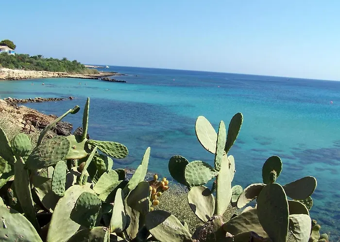 Il Canto Degli Uccelli Roccamorice