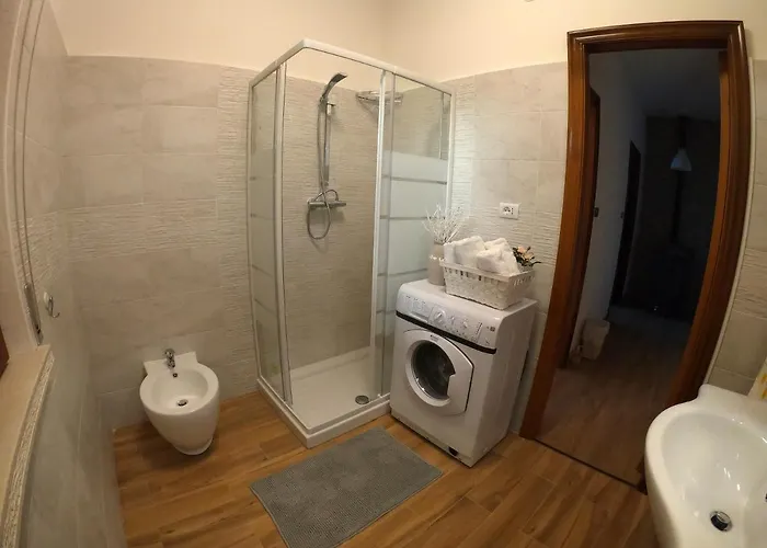 Il Canto Degli Uccelli