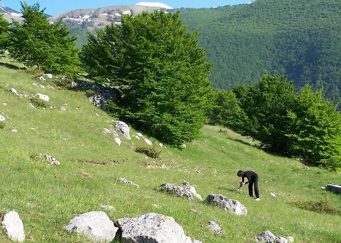 Il Canto Degli Uccelli Roccamorice