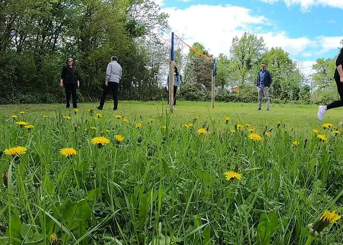 Il Canto Degli Uccelli *