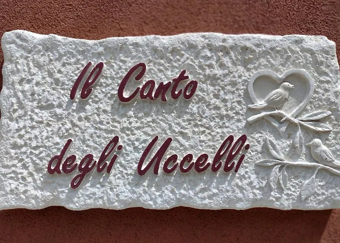 Il Canto Degli Uccelli