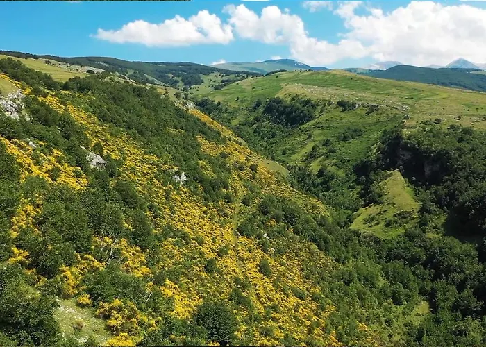 Il Canto Degli Uccelli * Roccamorice