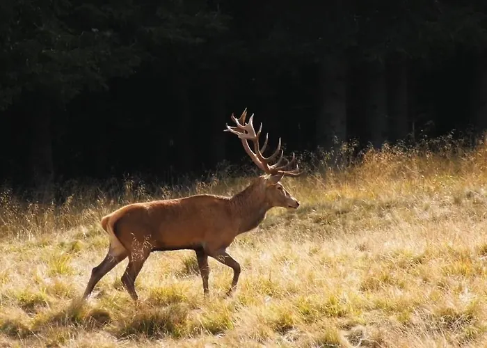 Il Canto Degli Uccelli Κατάλυμα σε φάρμα Roccamorice