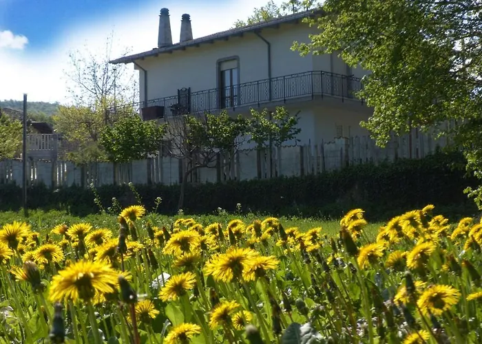 Il Canto Degli Uccelli *